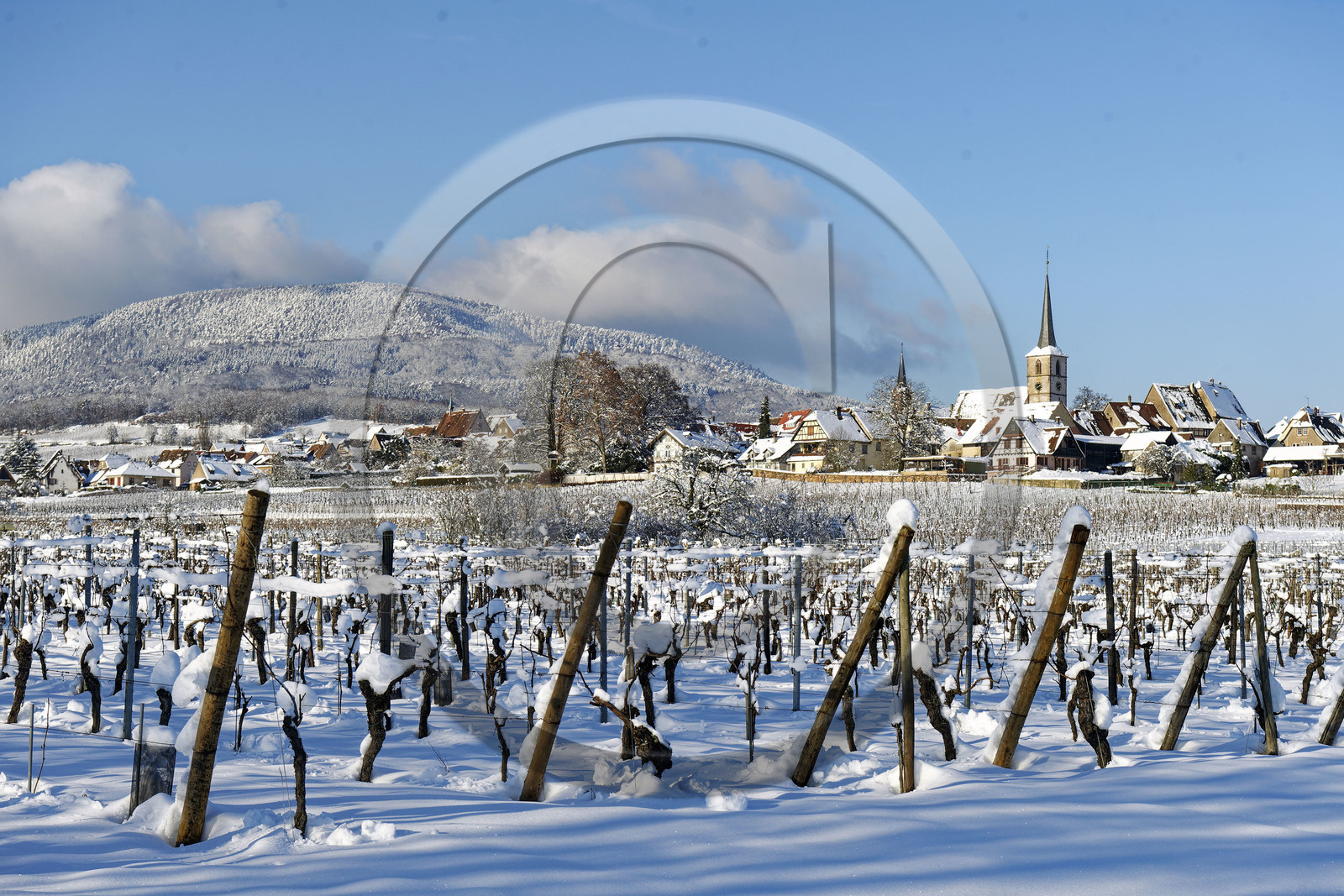 France, Mittelbergheim