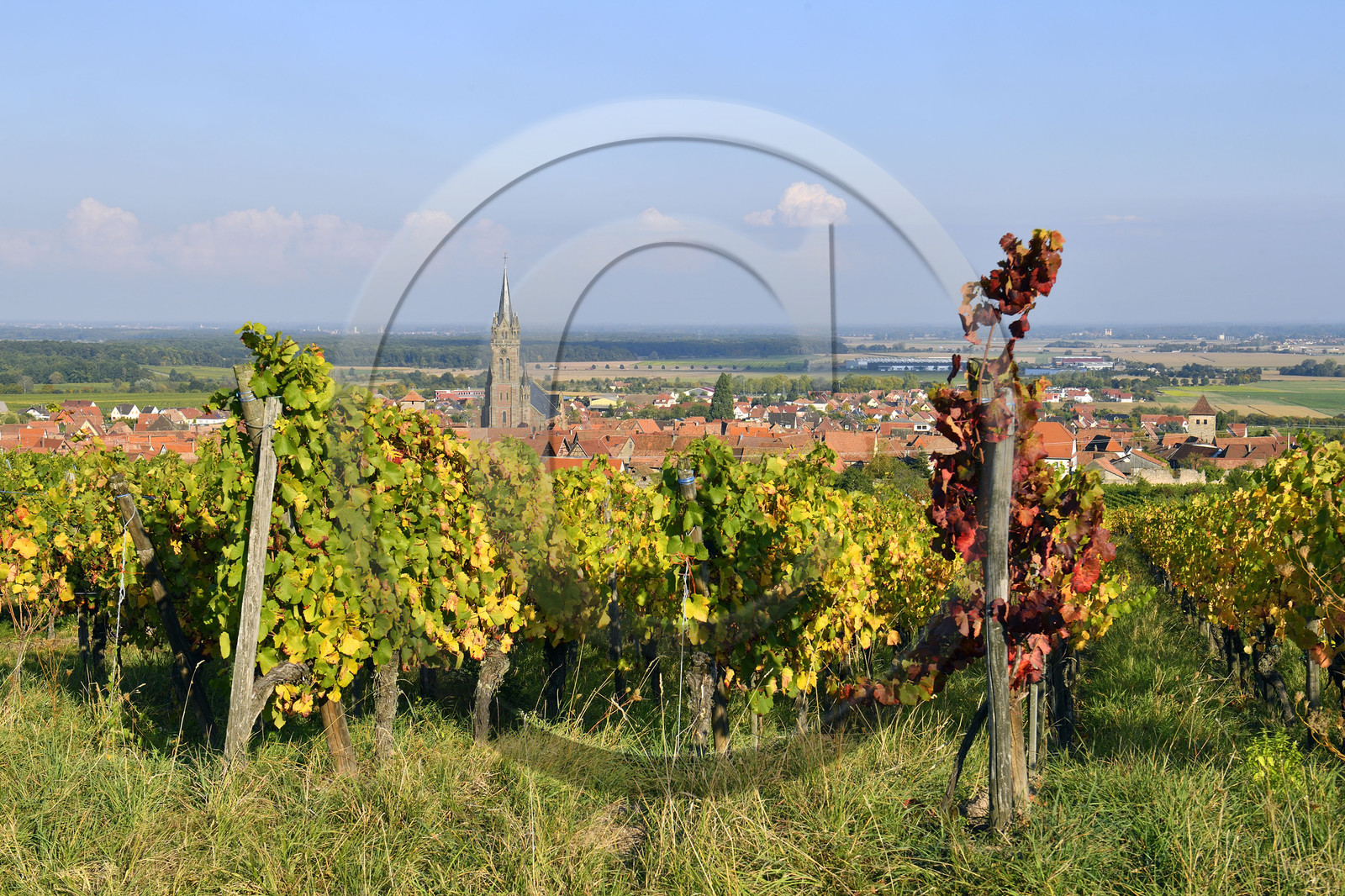 France, Dambach la Ville