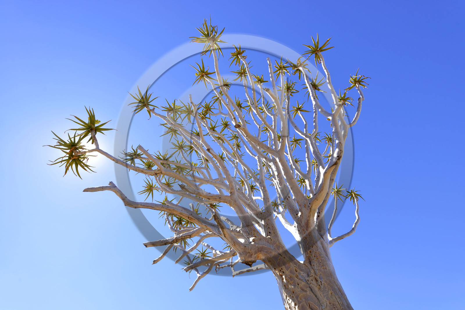 Namibie, Fish River Canyon