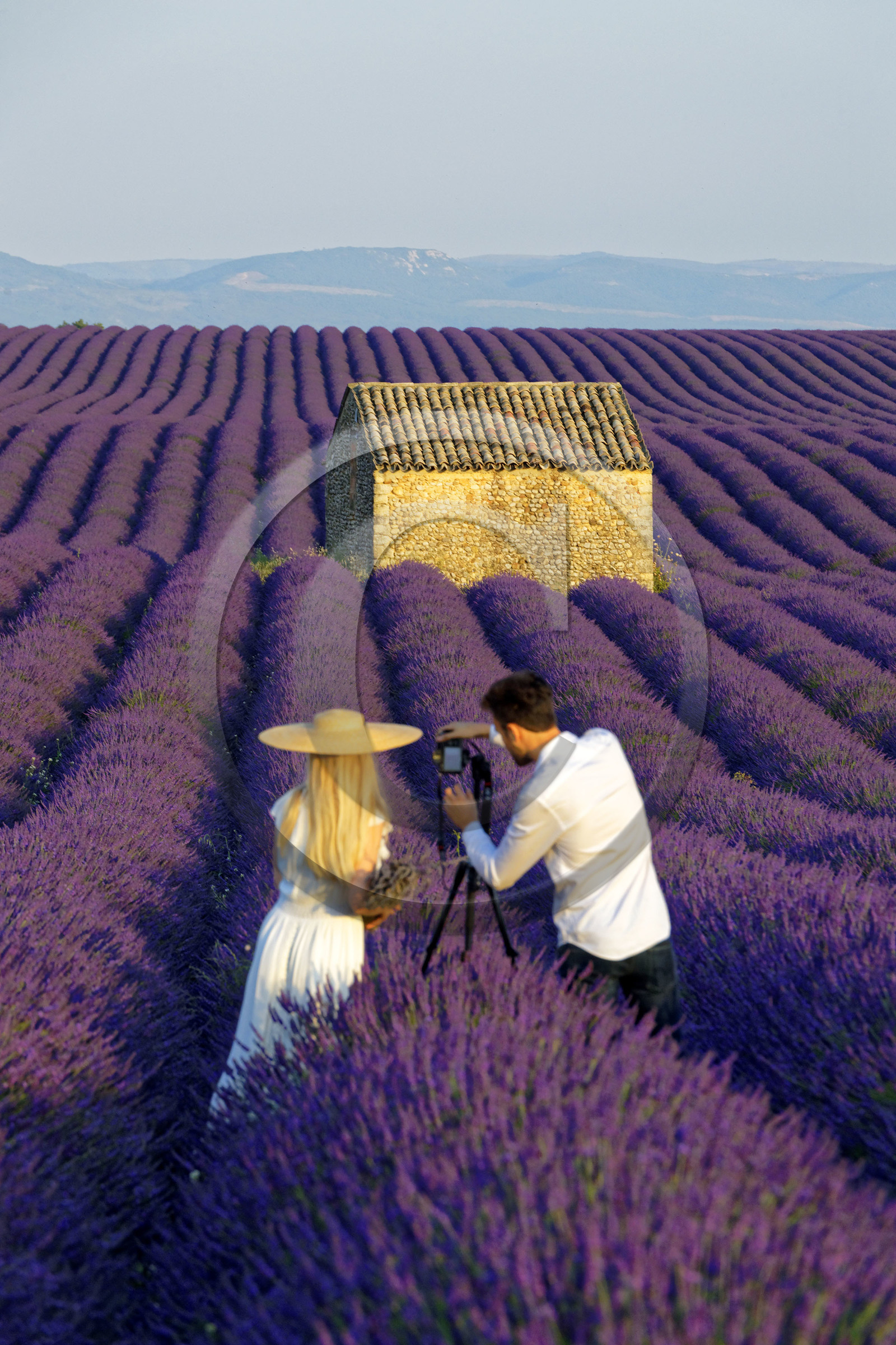 France, Valensole