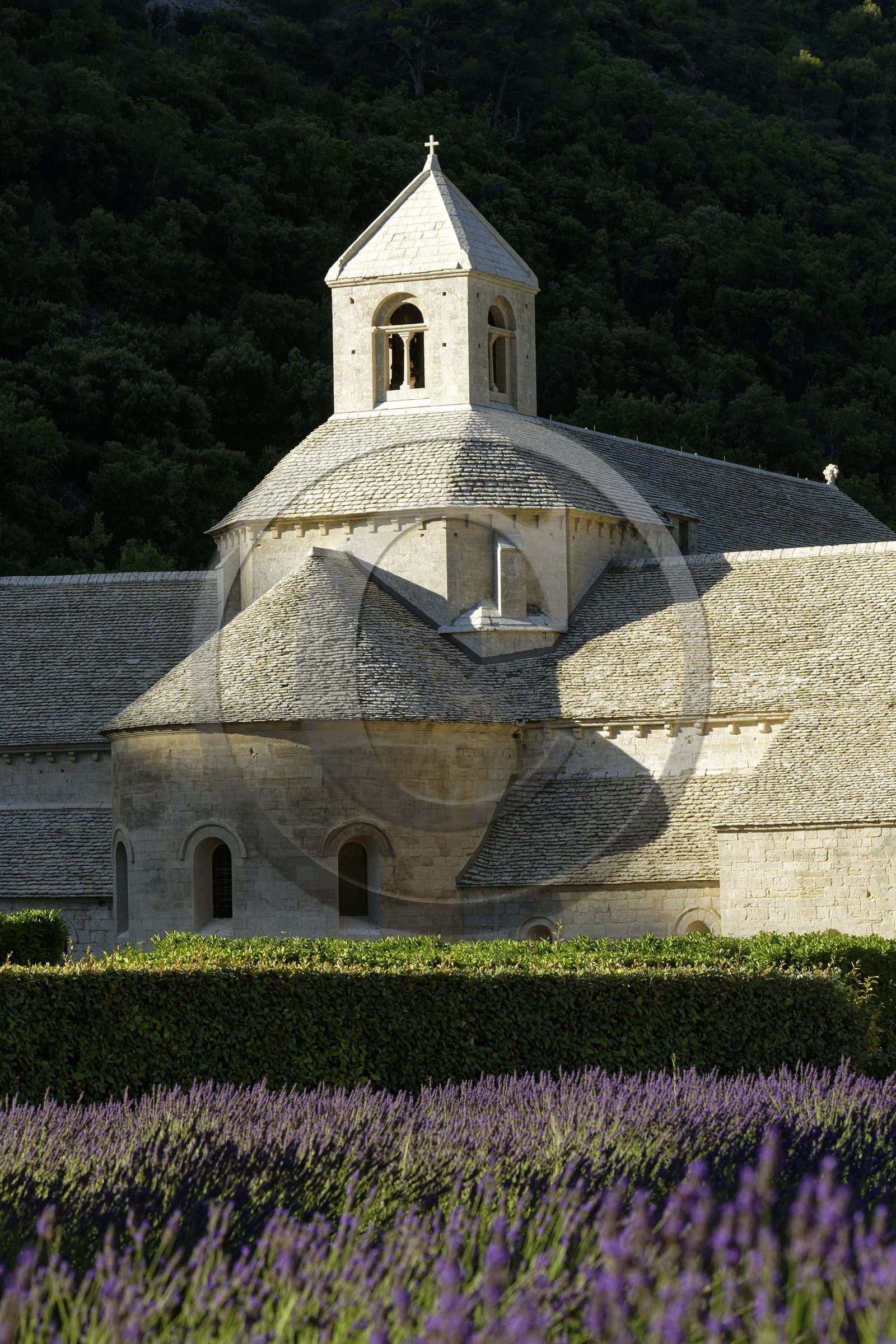 France, Senanque