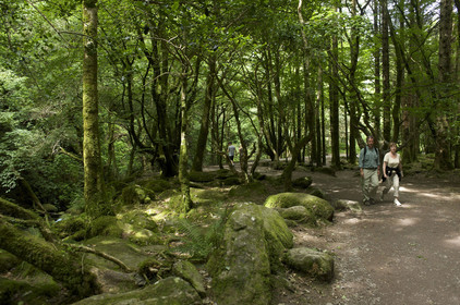 Irlande, Killarney