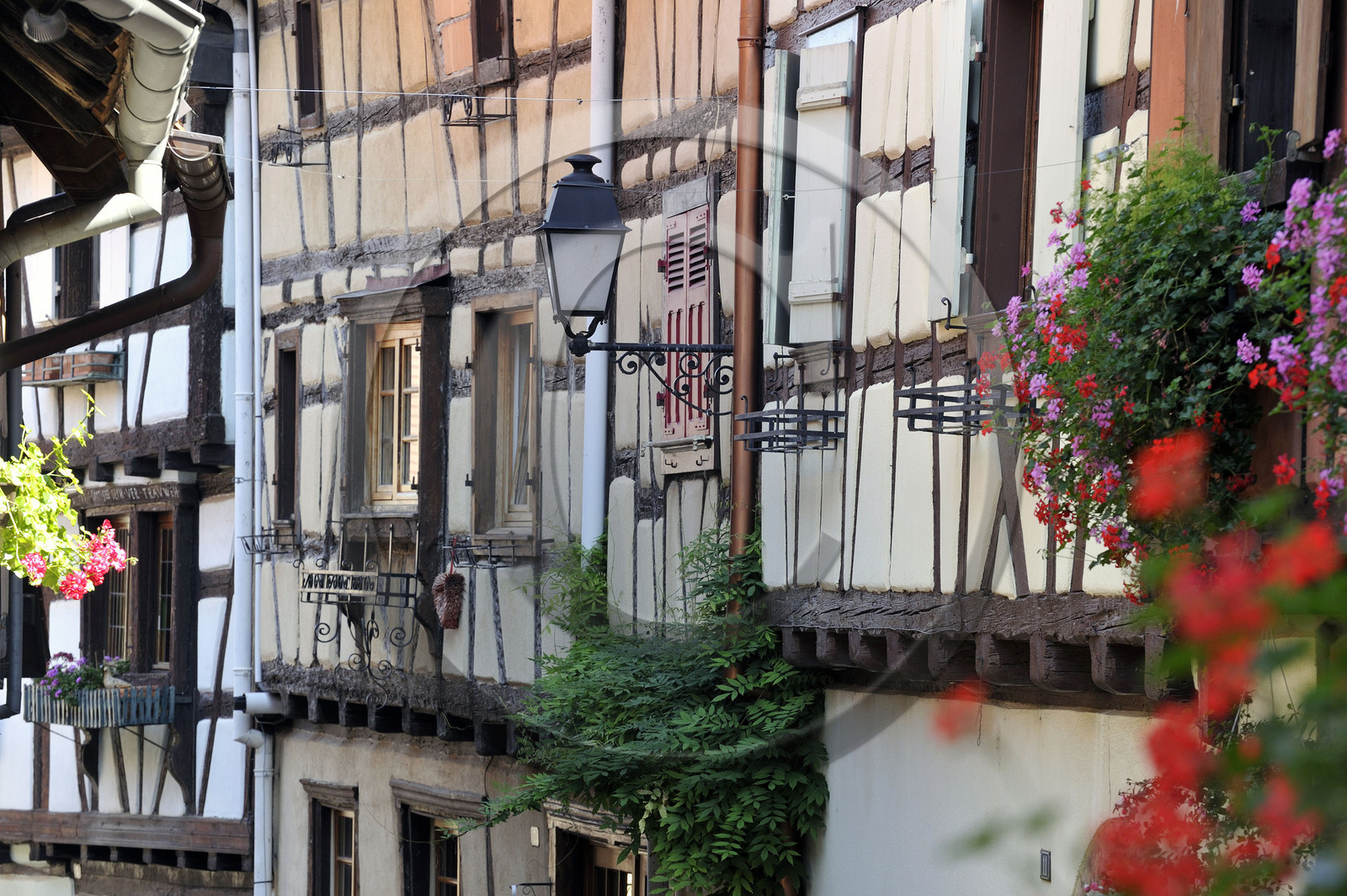 France, Eguisheim