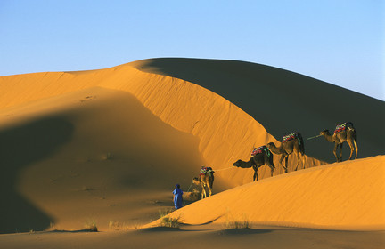 MAROC SUD   MERZOUGA.ERG CHERBI
