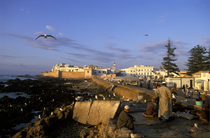 MAROC   ESSAOUIRA.LE PORT