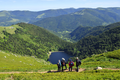 France, Vosges