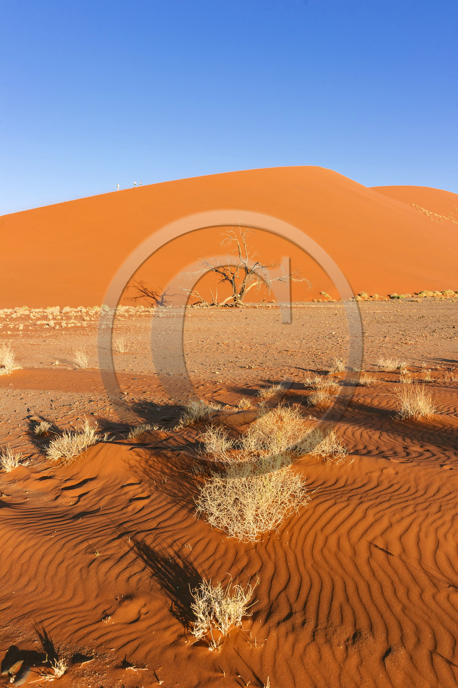 Namibie, Sossusvlei