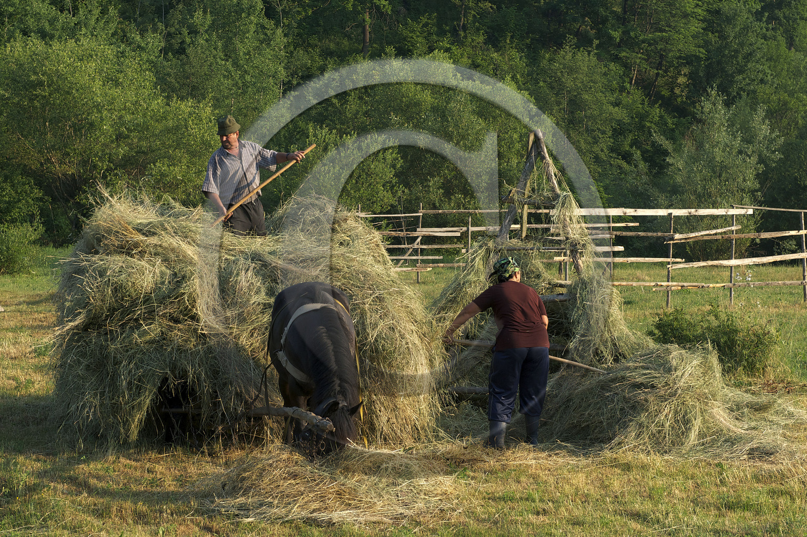 Roumanie, Maramures