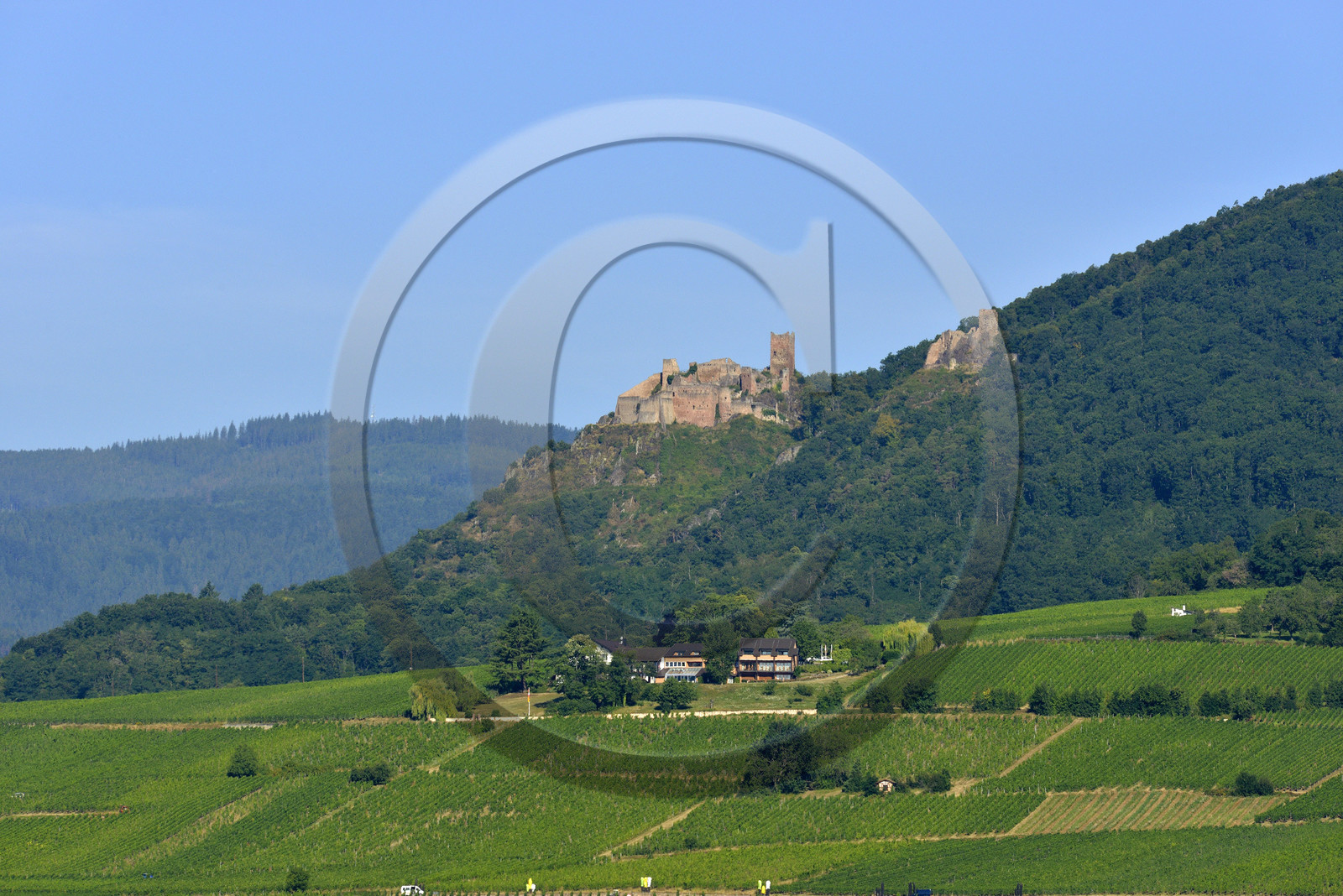 France,  Ribeauville