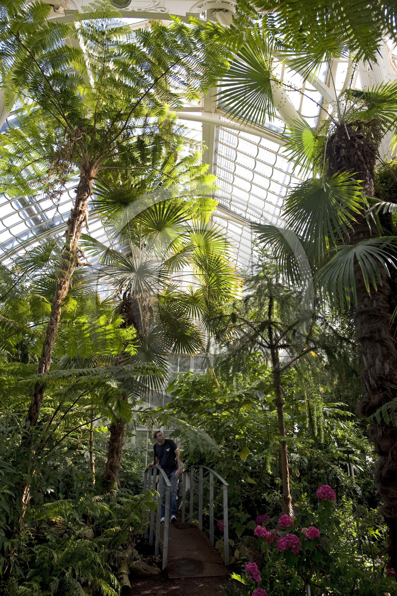 Autriche, Schonbrunn