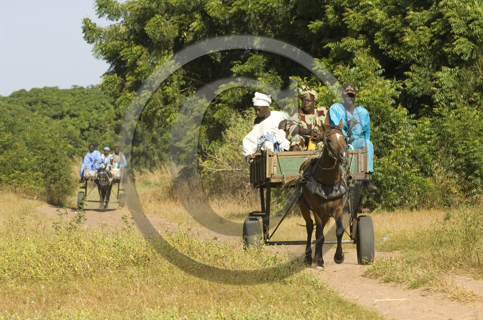 Marché de Gueguenne, Sénégal