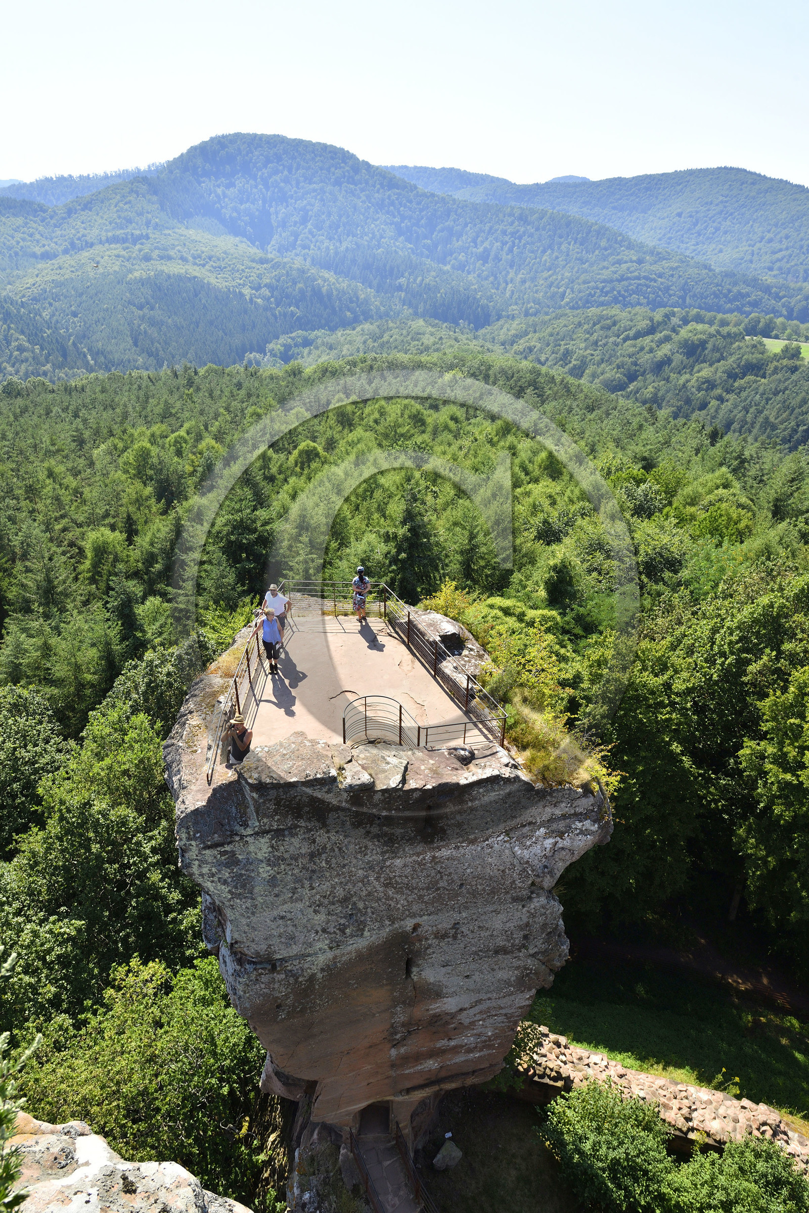 France, Fleckenstein