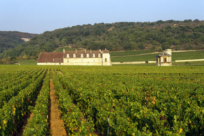 France, Vougeot