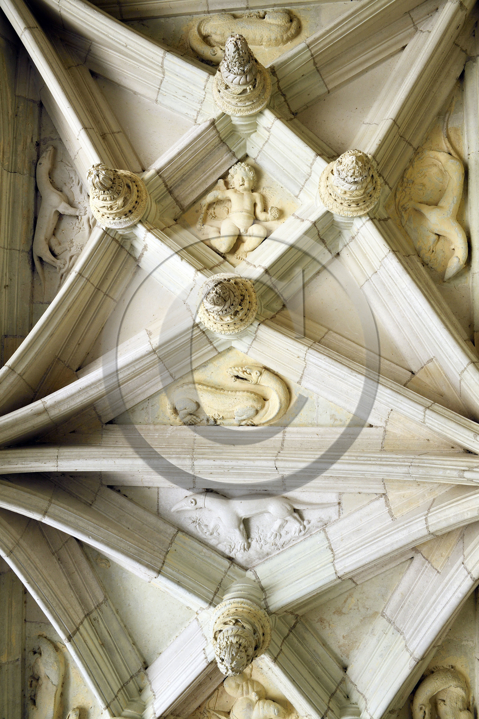 France,  Azay Le Rideau