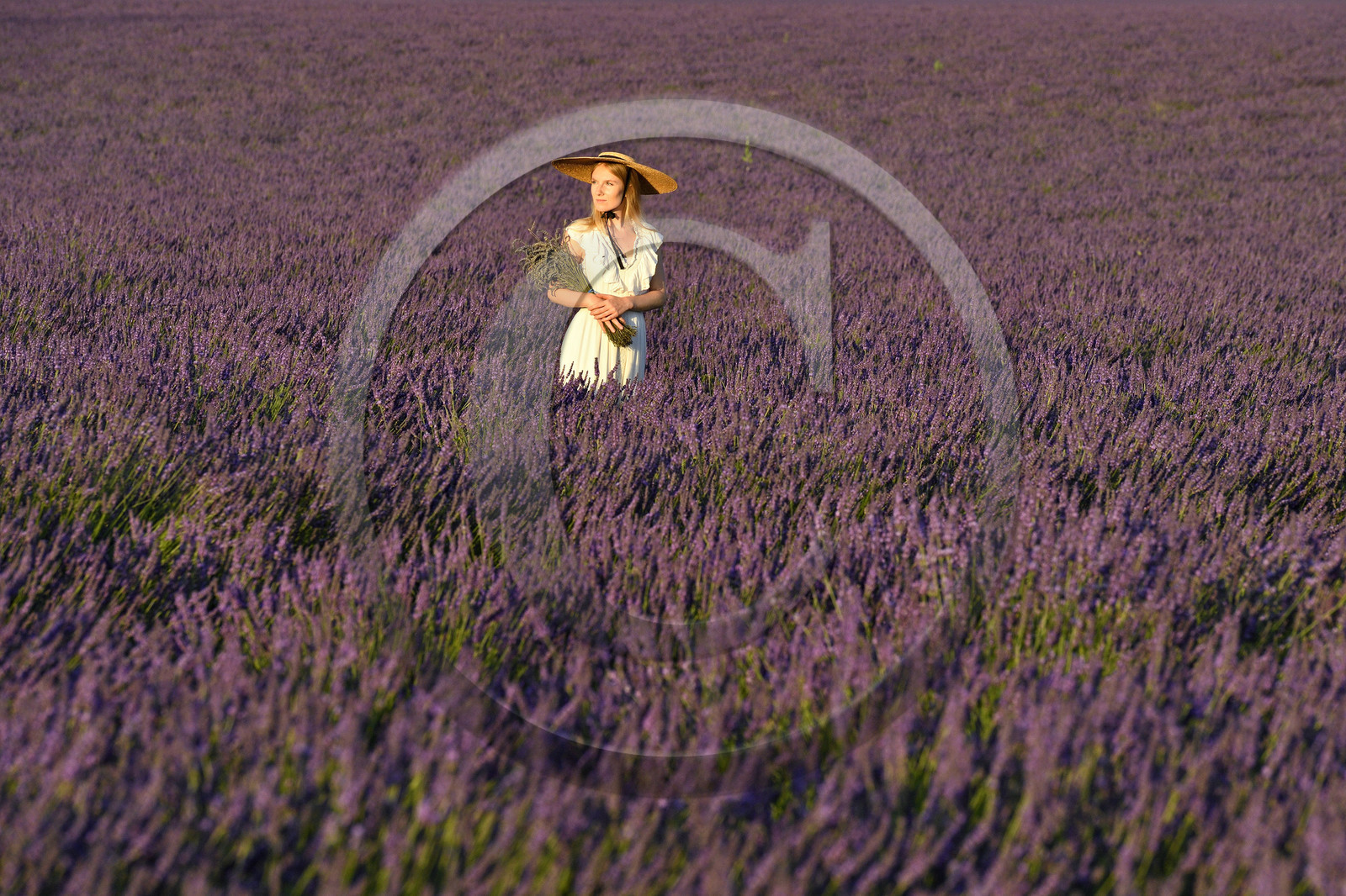 France, Valensole
