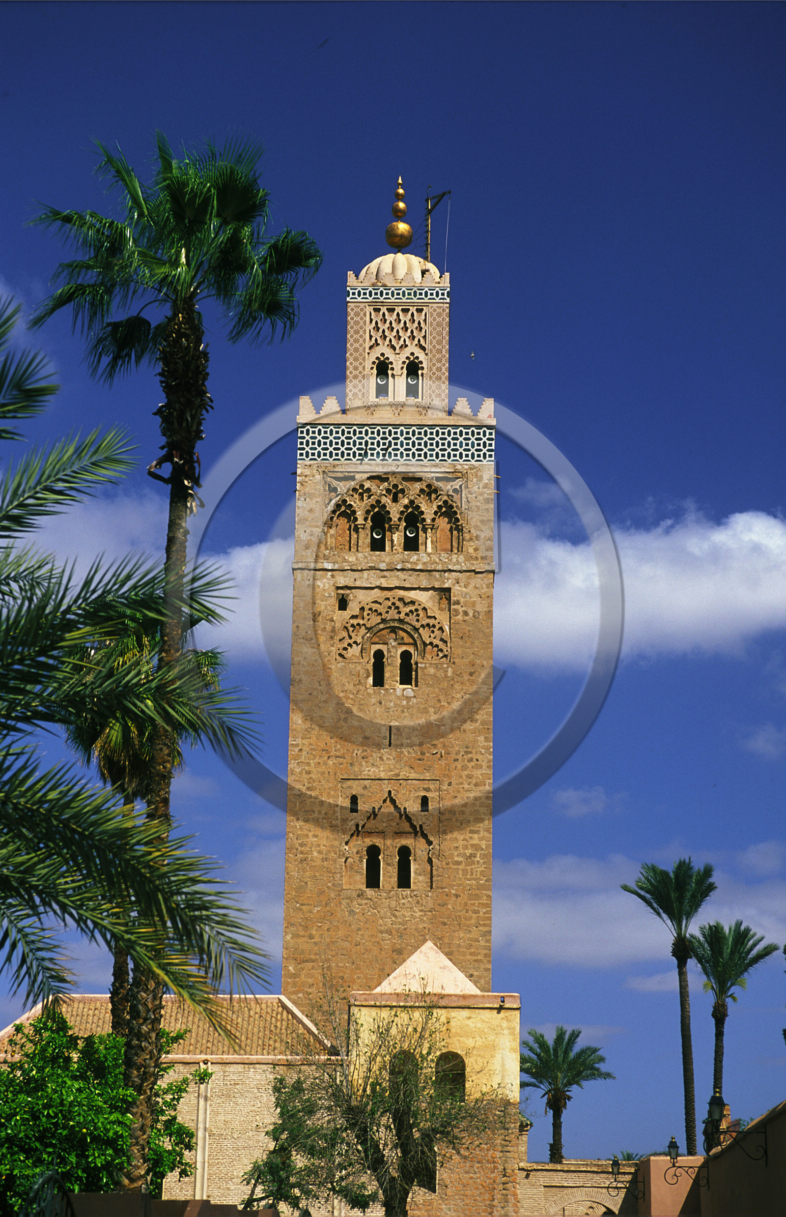 MAROC   MARRAKECH.LA KOUTOUBIA
