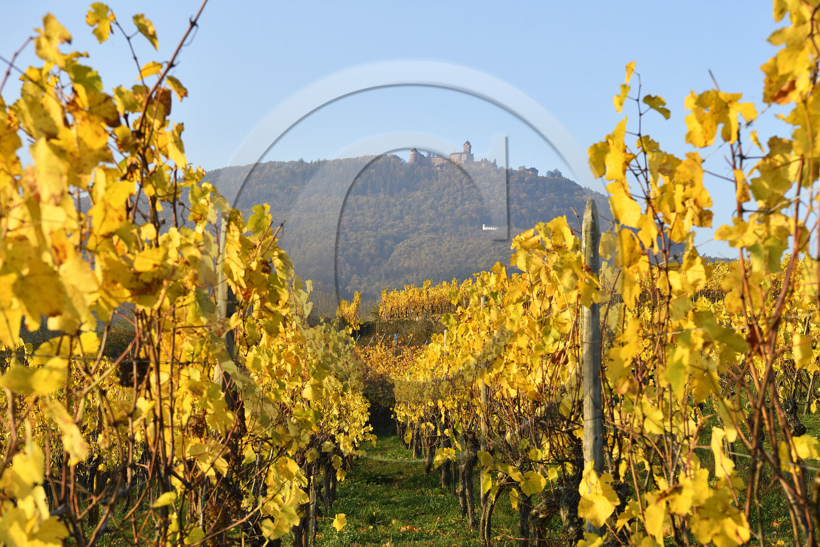 France, Koenigsbourg