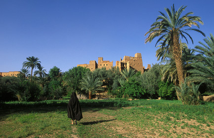 MAROC SUD  TINEGHIR.LA PALMERAIE + MEDINA