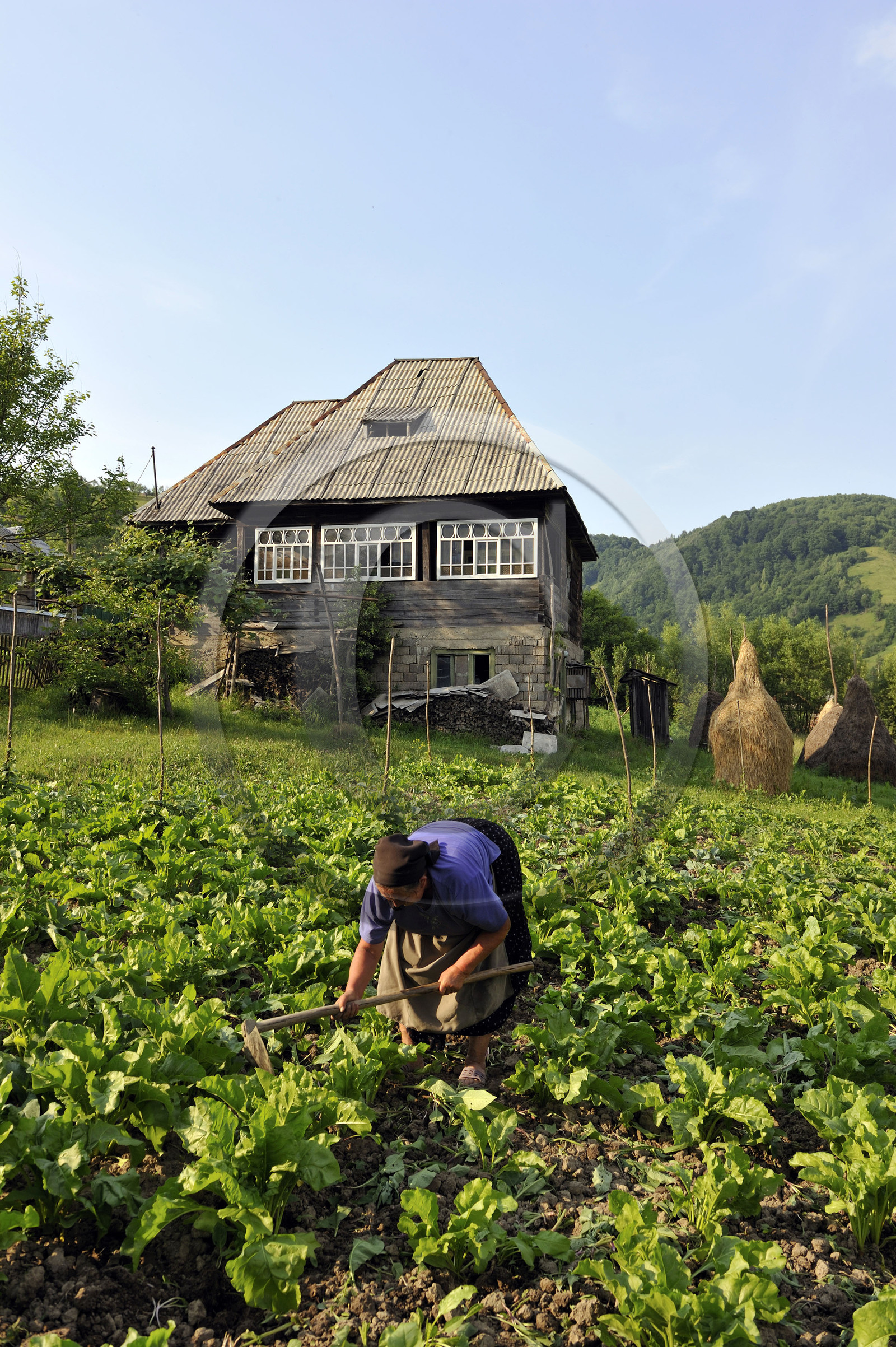 Roumanie, Maramures