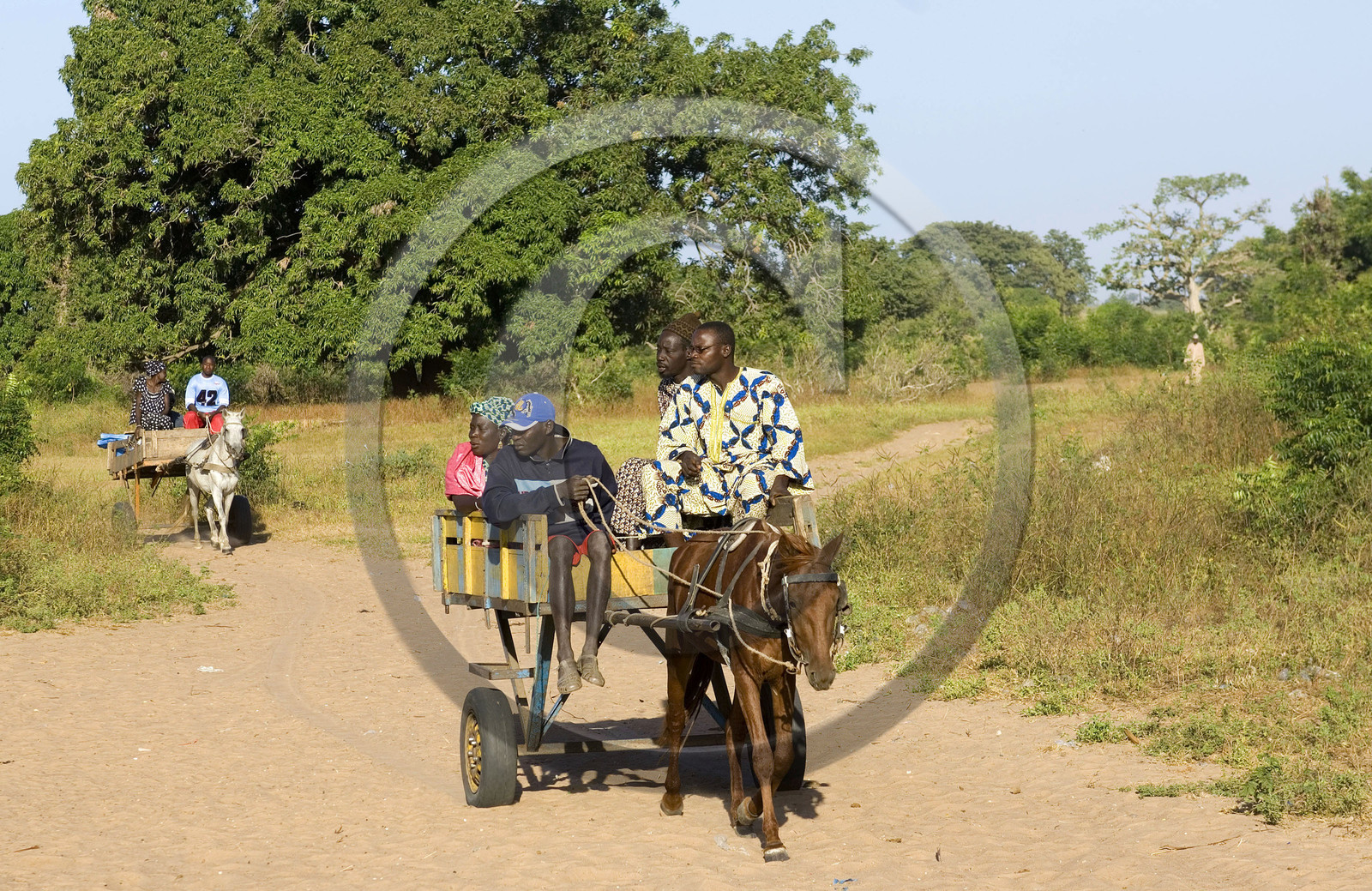Marché de brousse de Gueguenne, Sénégal