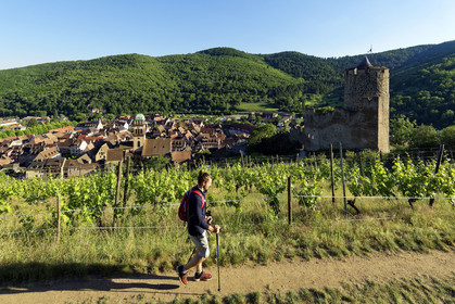 France, Kaysersberg