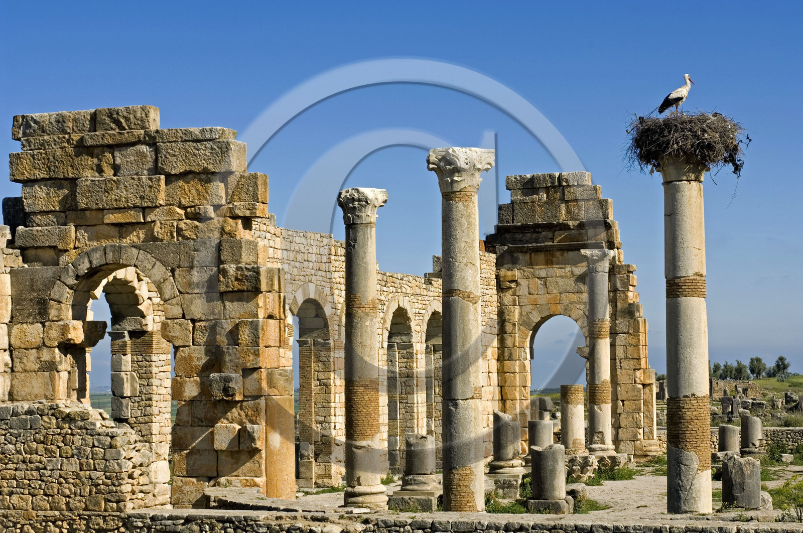 Volubilis, Morokko