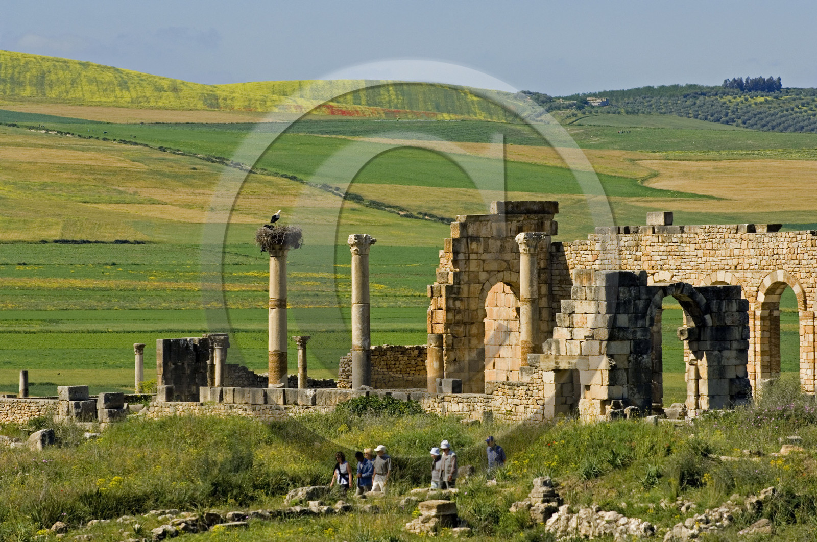 Volubilis, Morokko