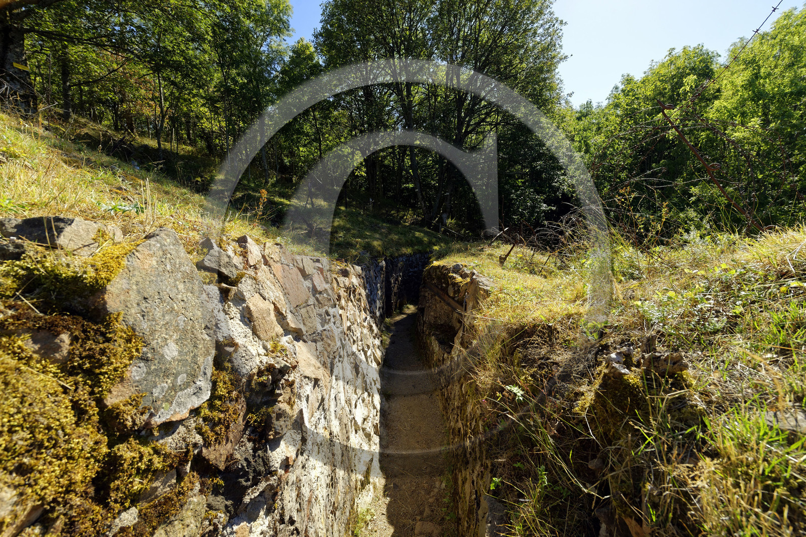 France, Hartmannswillerkopf