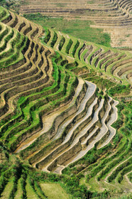 Chine, Longsheng