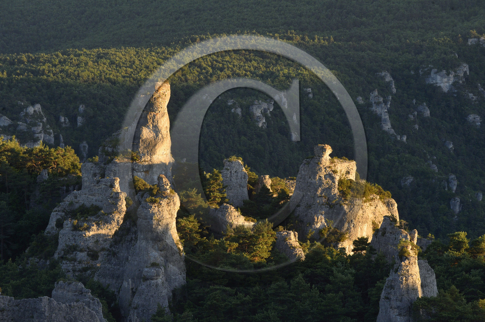 France, Montpellier Vieux