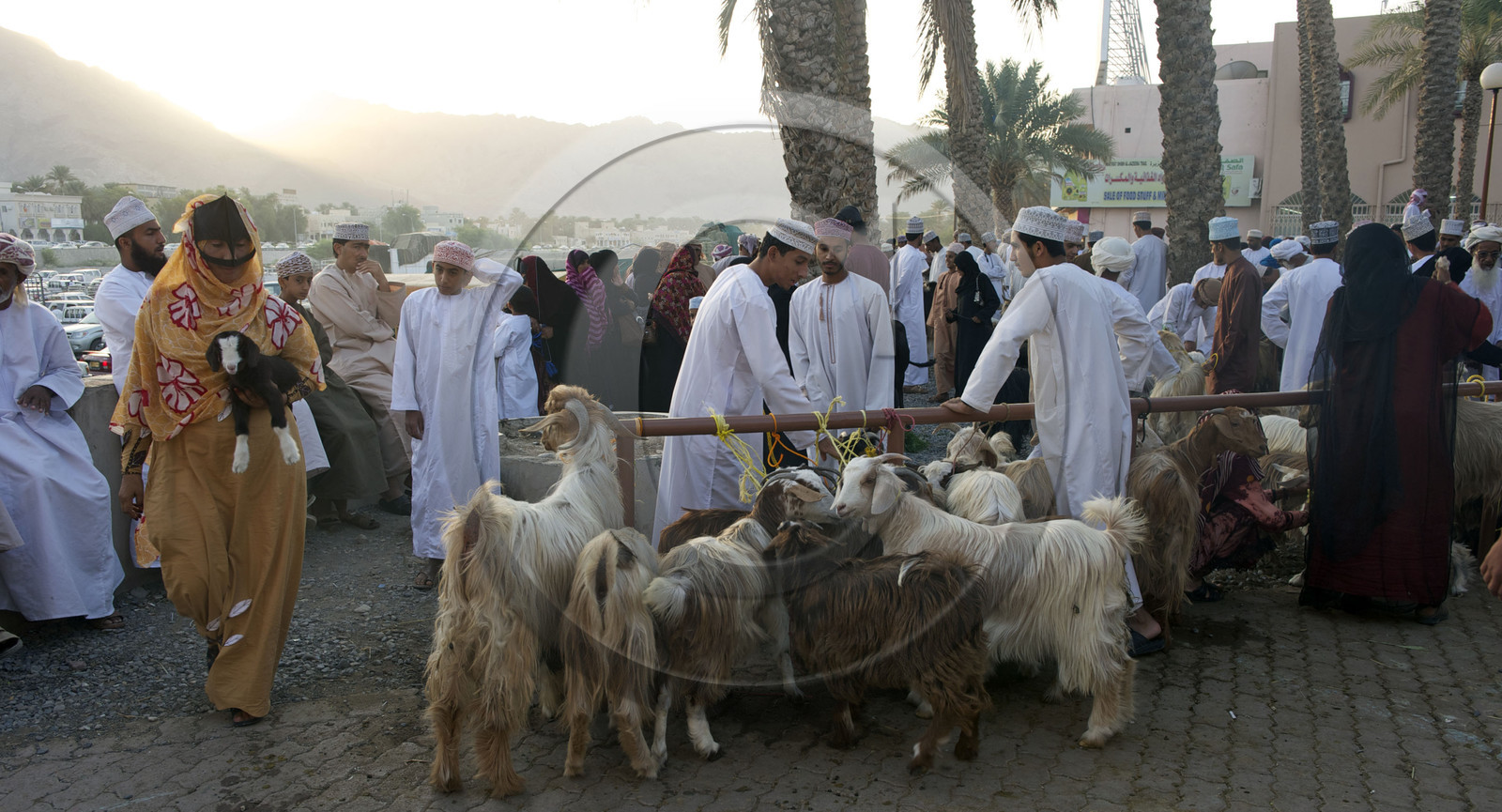 Oman, Nizwa
