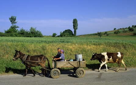Charette tirée par un cheval, Bulgarie