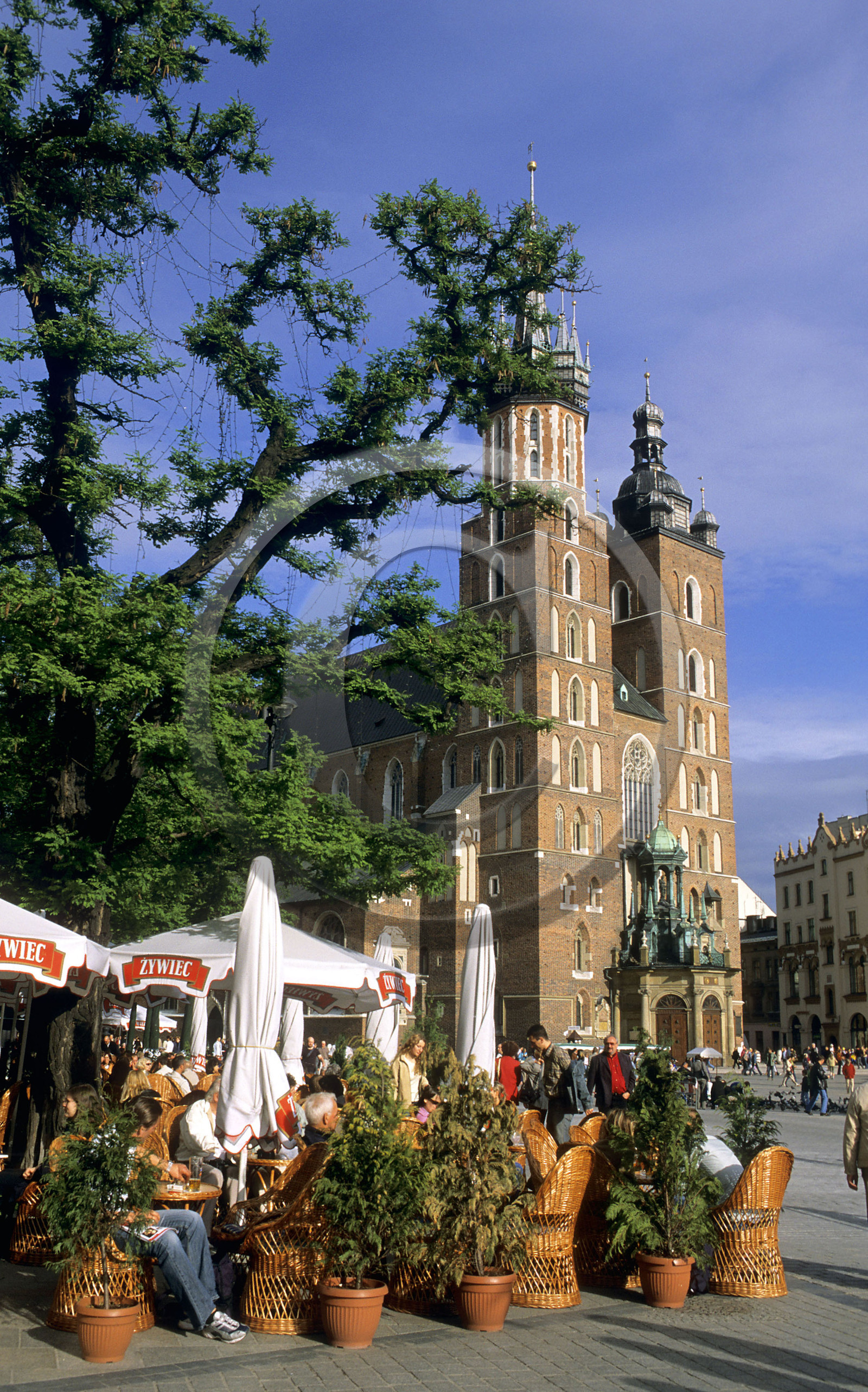 Cracovie, Pologne
