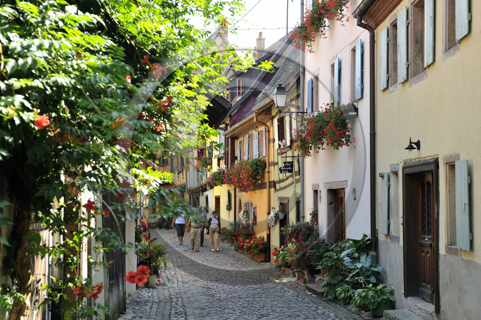 France, Eguisheim
