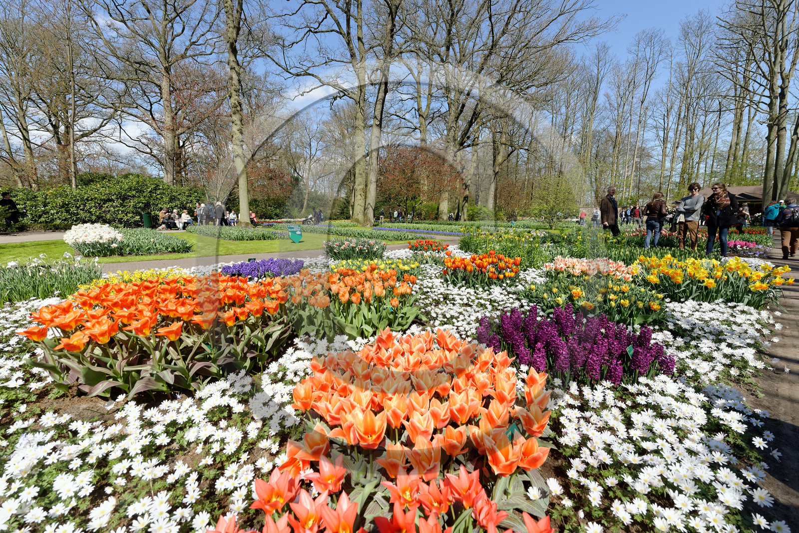 Hollande, Keukenhof