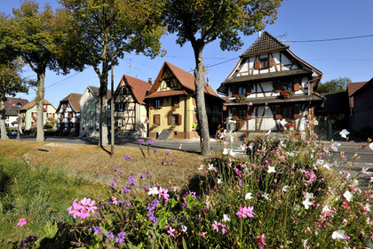 France, Sundgau