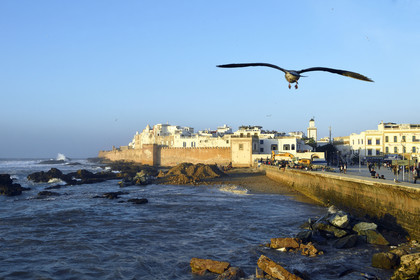 Maroc, Essaouira
