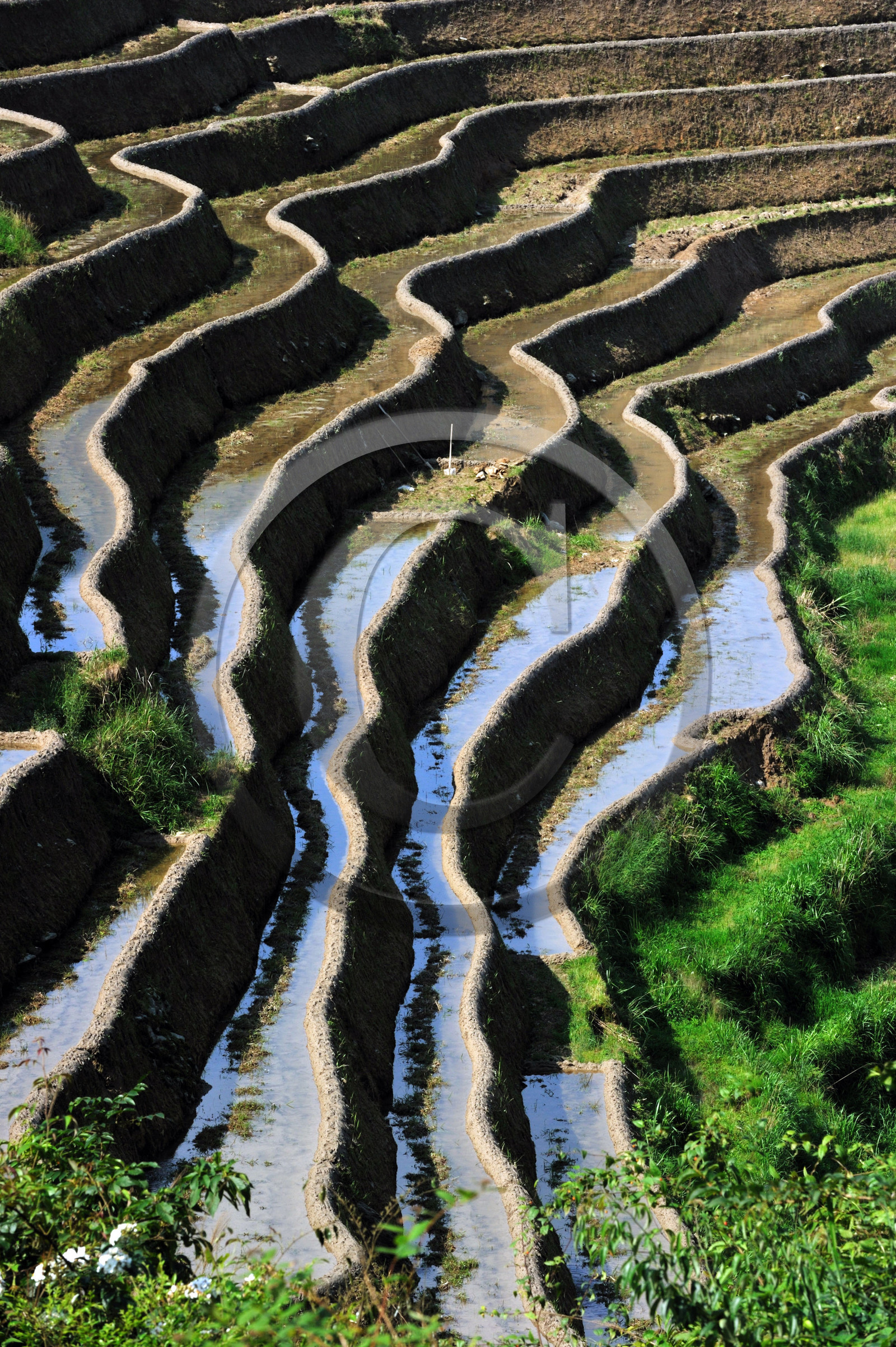 Chine, Longsheng