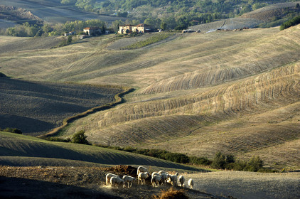 Italie, Toscane