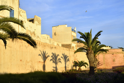 Maroc, Essaouira