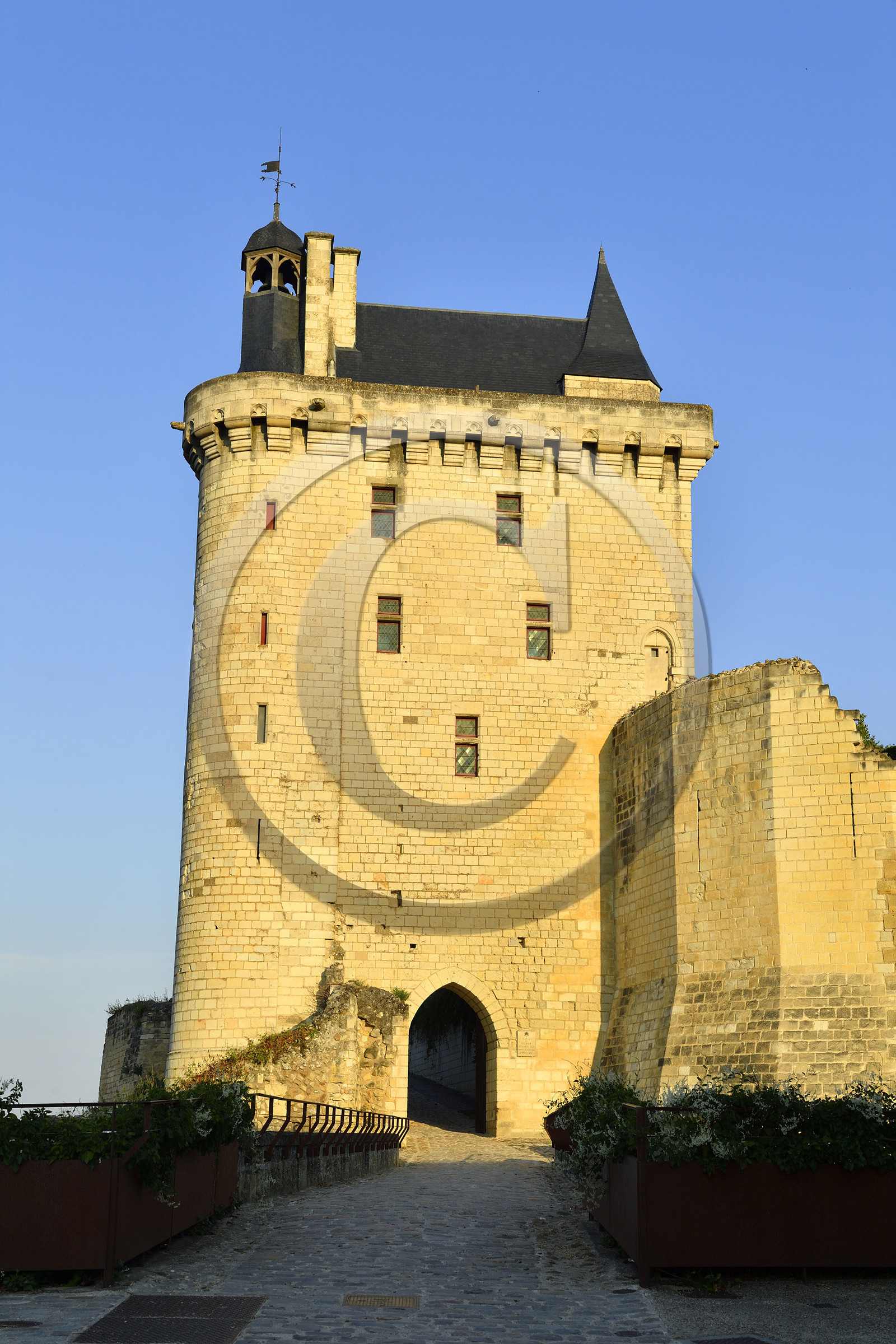 France,  Chinon
