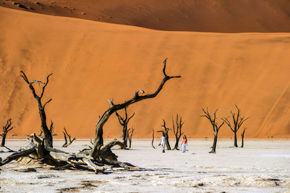 Namibie, Sossusvlei