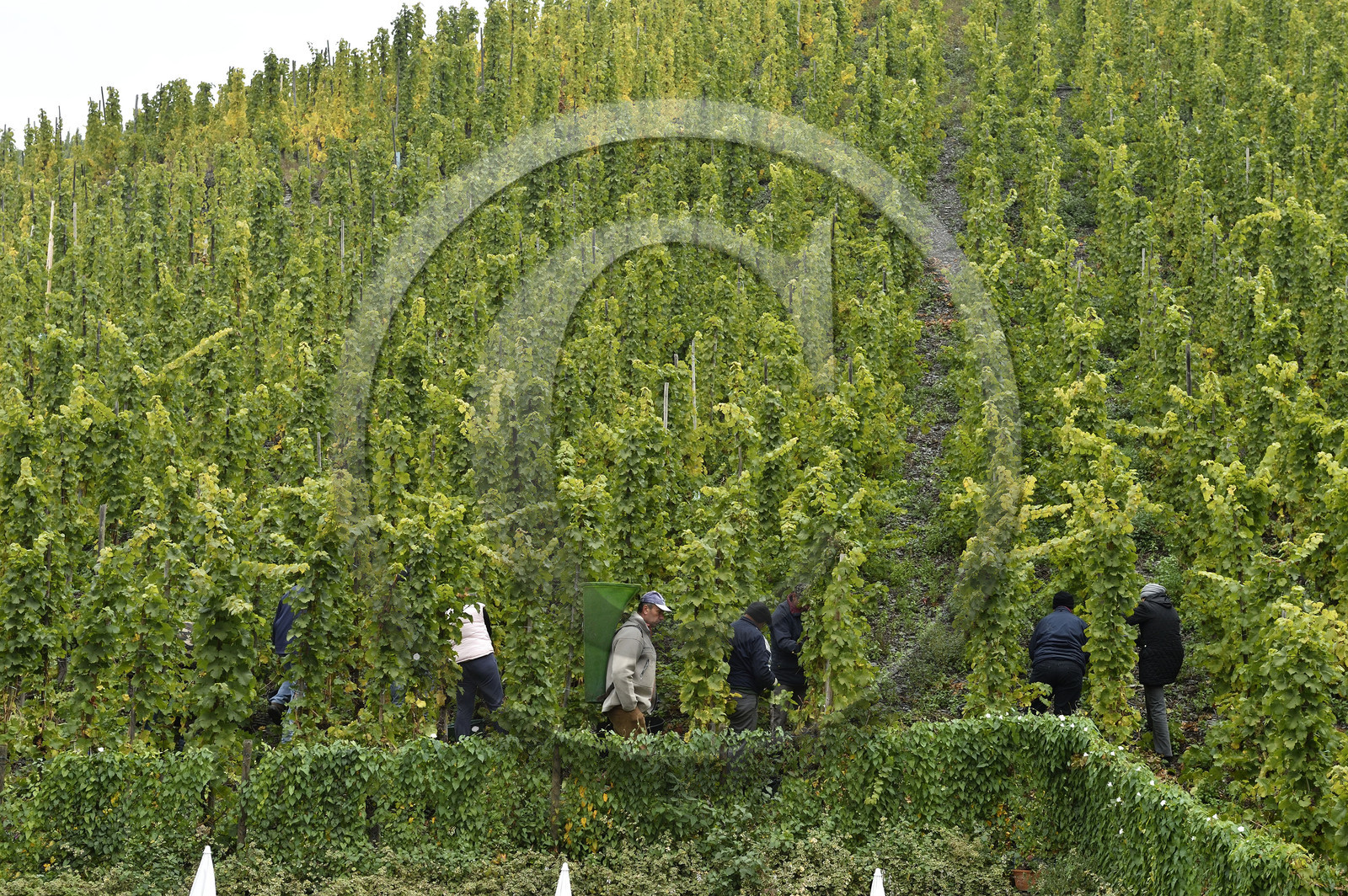 Allemagne, Bernkastel-Kues