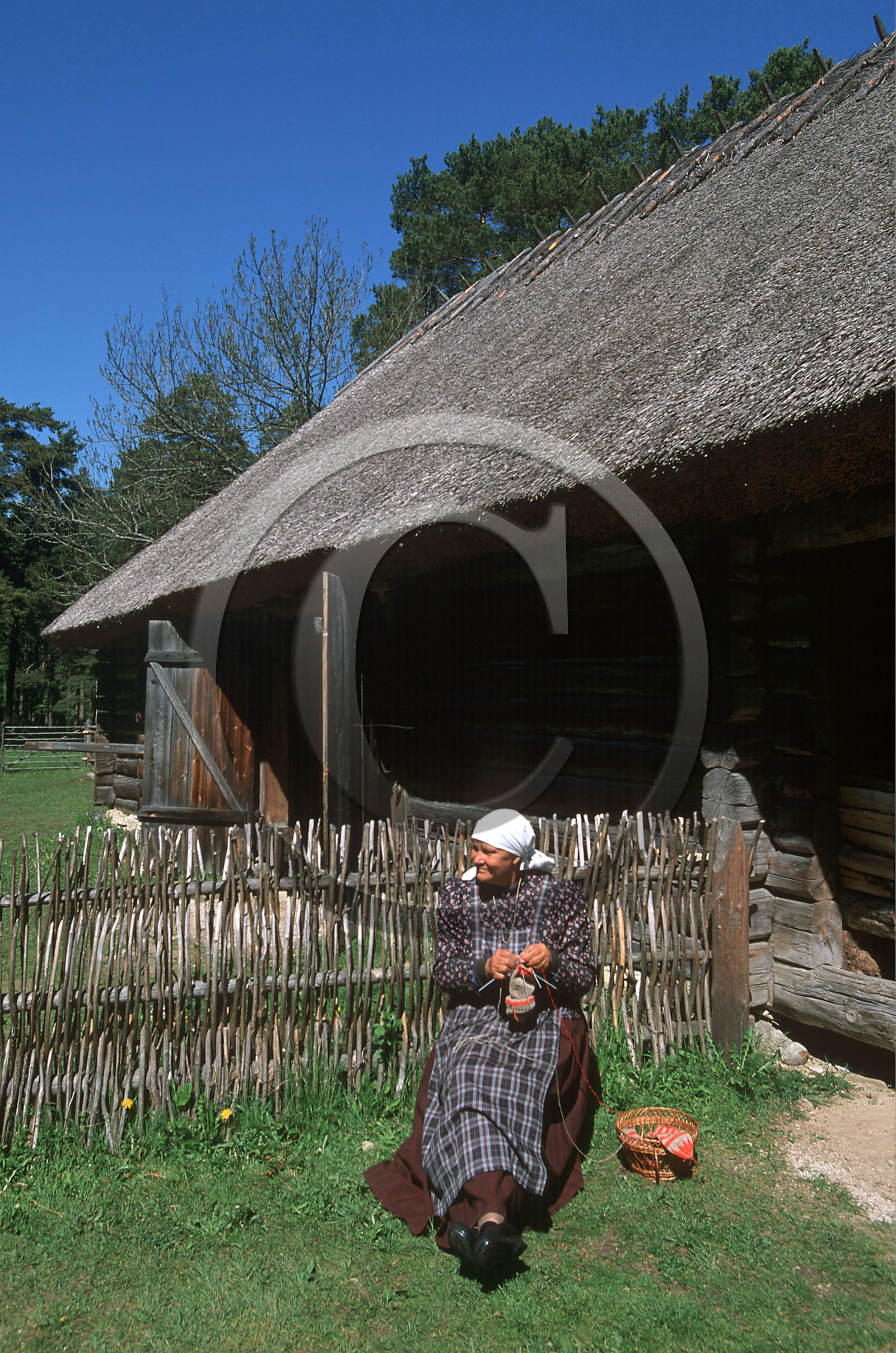 Estonie, Pays Baltes