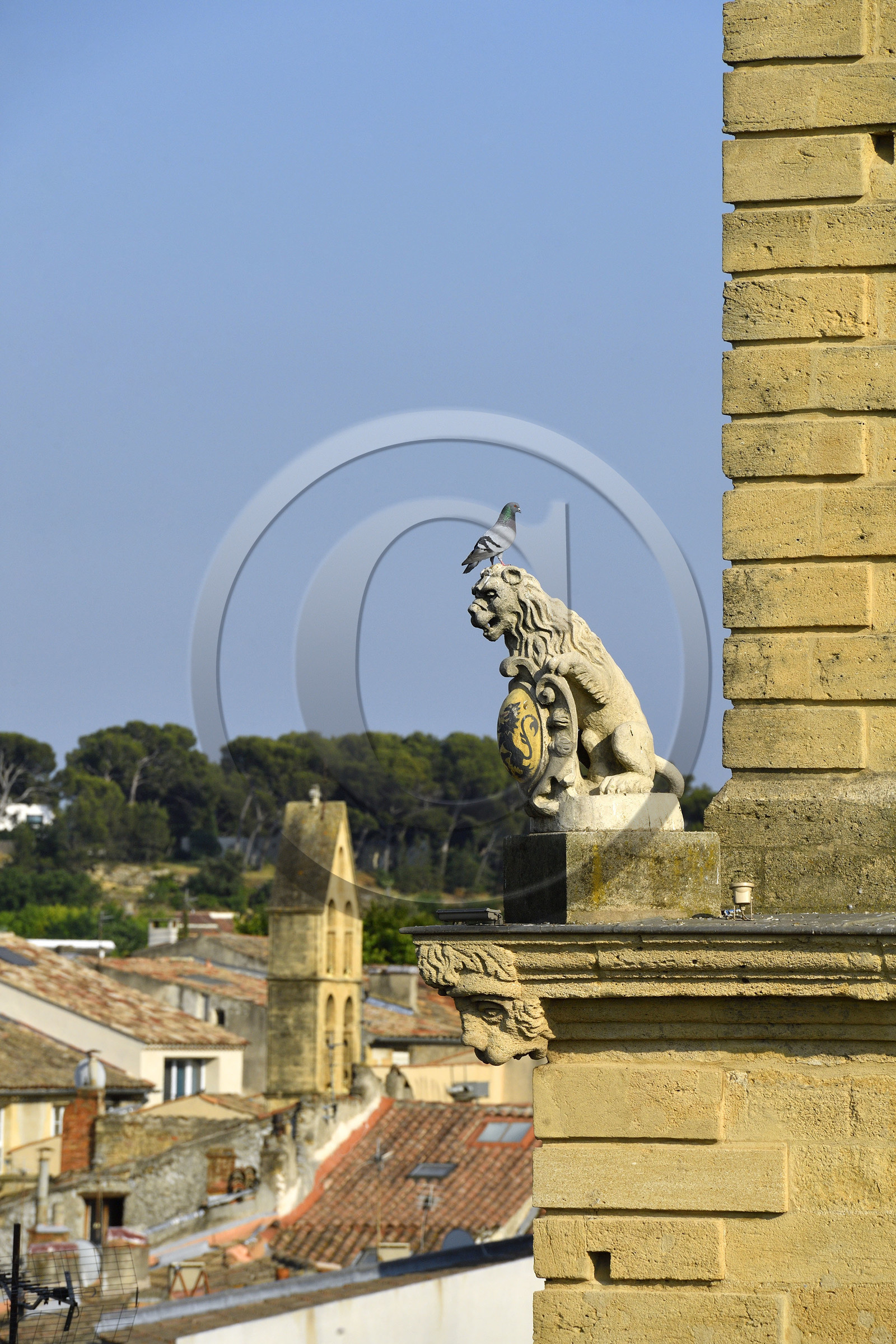 France, Salon de Provence