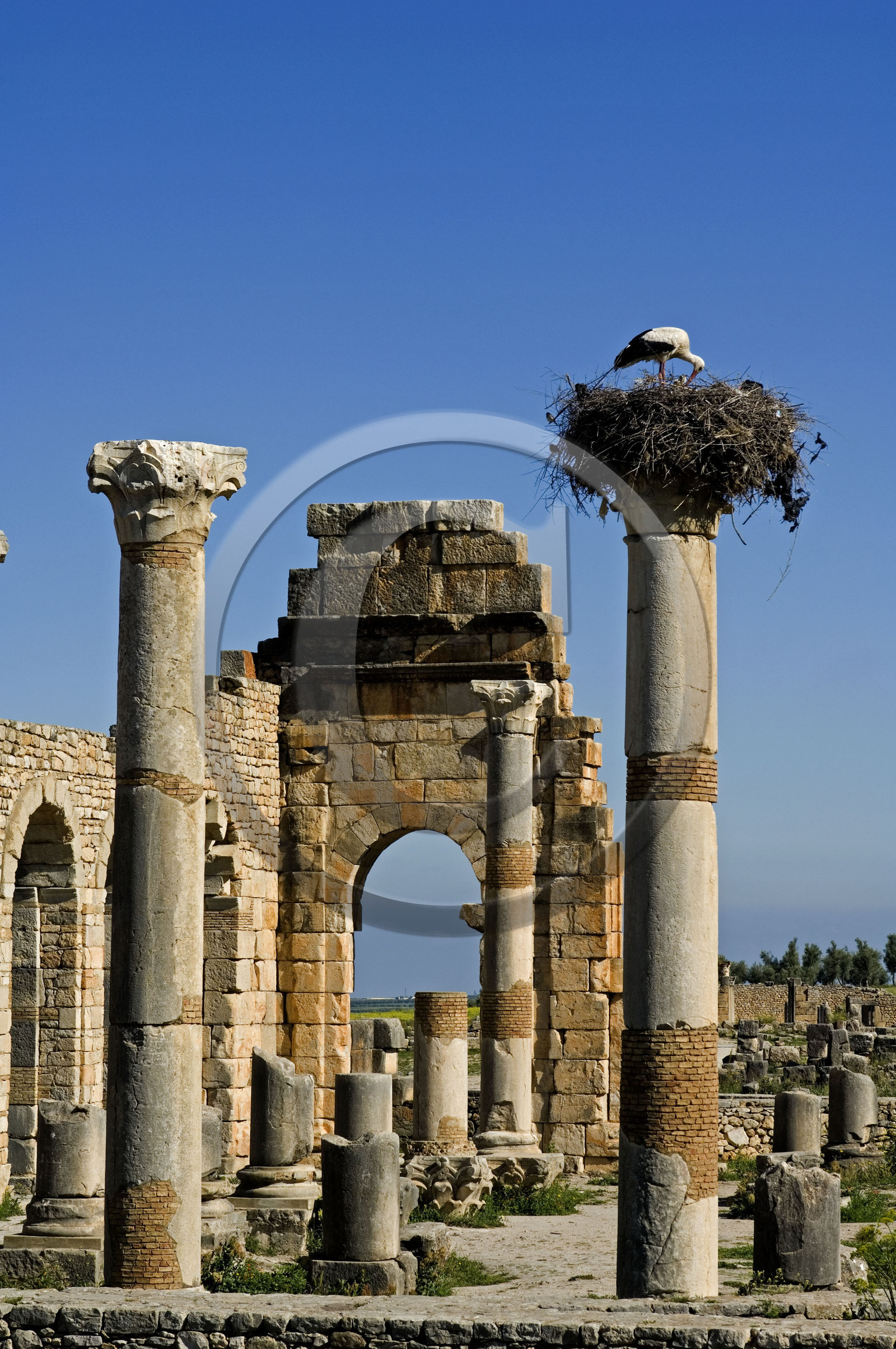 Volubilis, Morokko