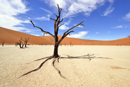 Namibie, Sossusvlei