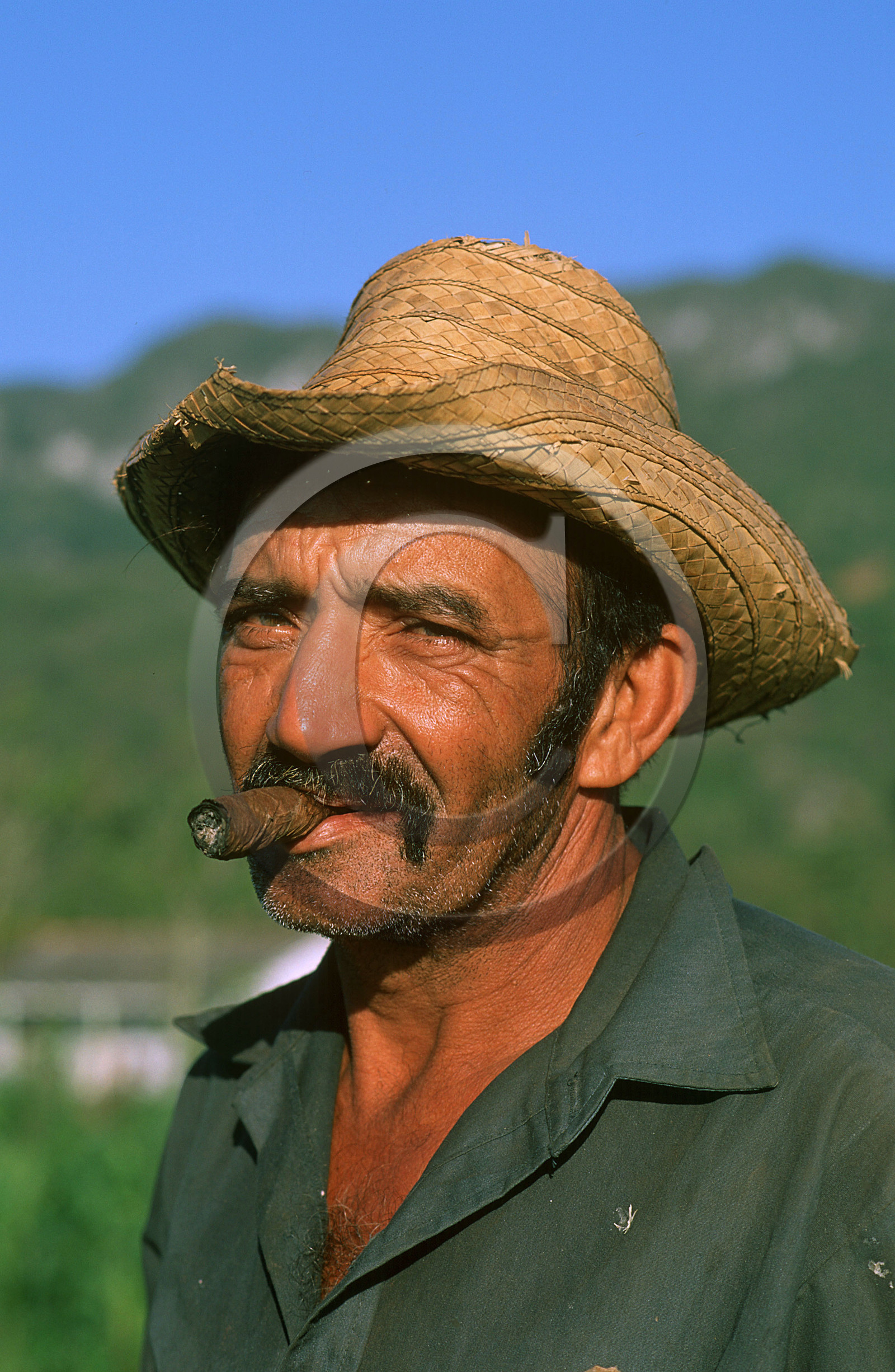 RÉGION DE VINALES.CUBA