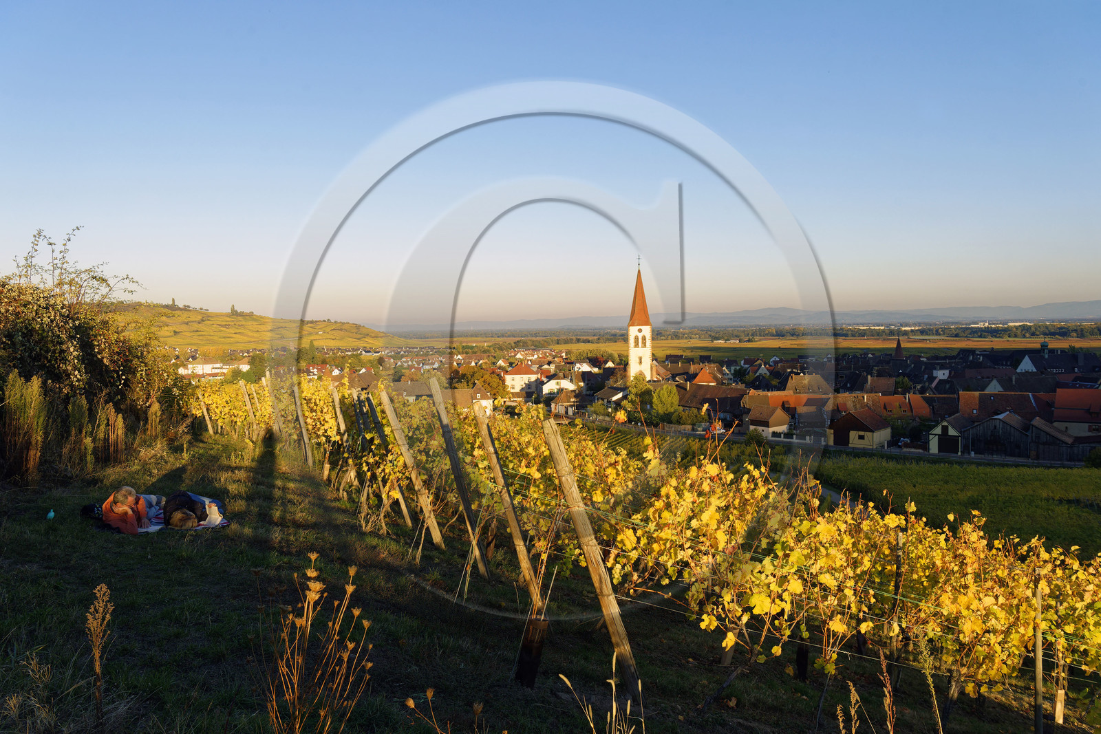 France, Ammerschwihr