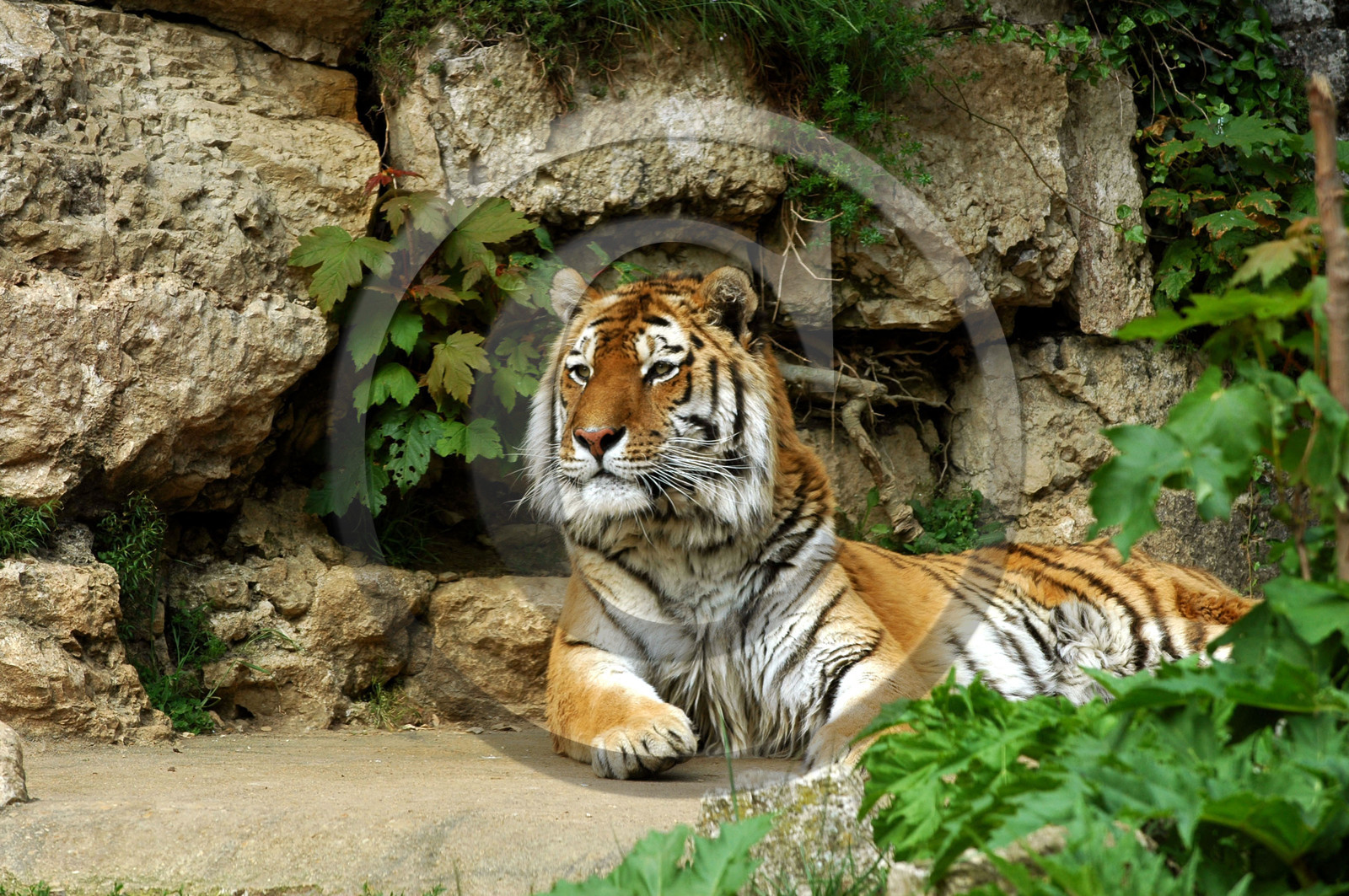 Franche-Comte, France